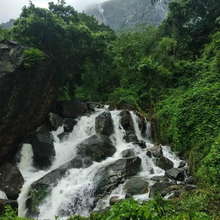 view point kesavan para