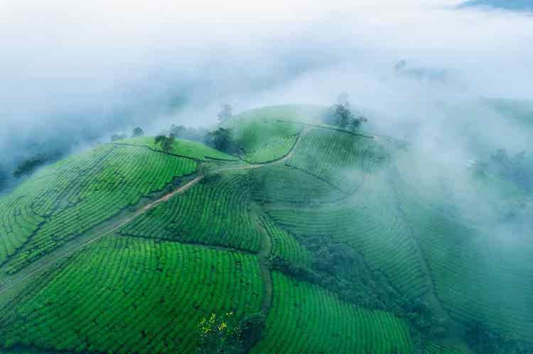 Munnar
