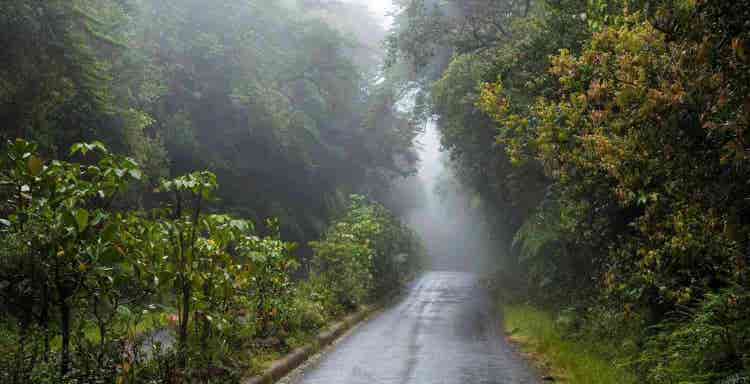 wayanad sightseeing