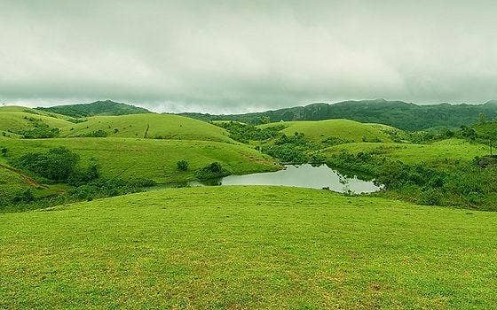 vagamon-meadows
